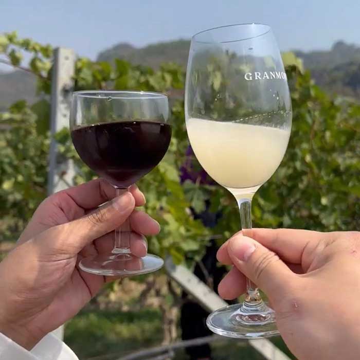 GranMonte-Vineyard