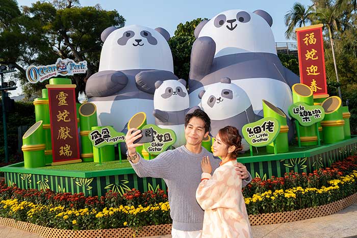 Giant-Panda-Inflatable
