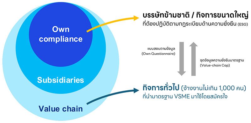 VSME Standard
